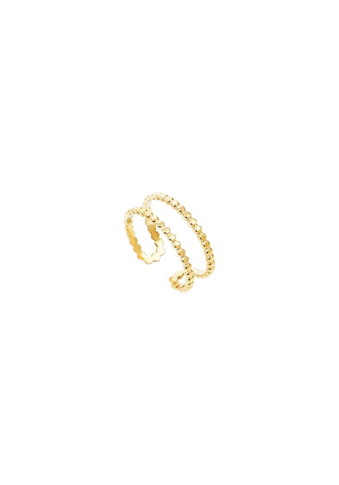 Bague ERNA