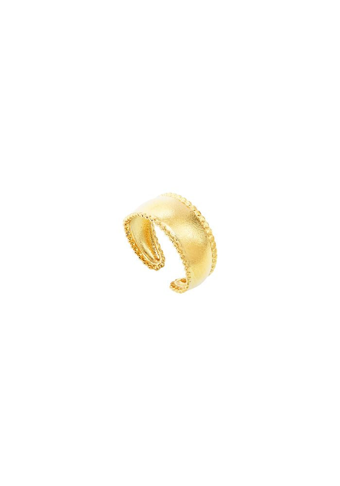 Bague TIDA