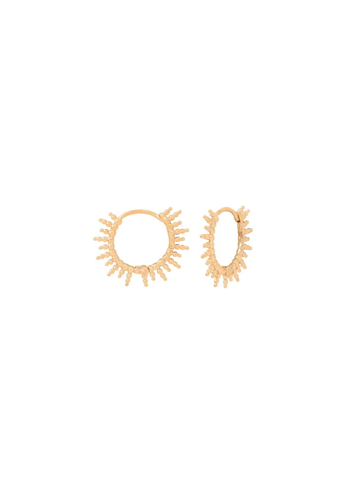 Créoles SOL