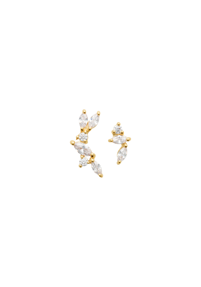 Puces d'oreilles ALIX