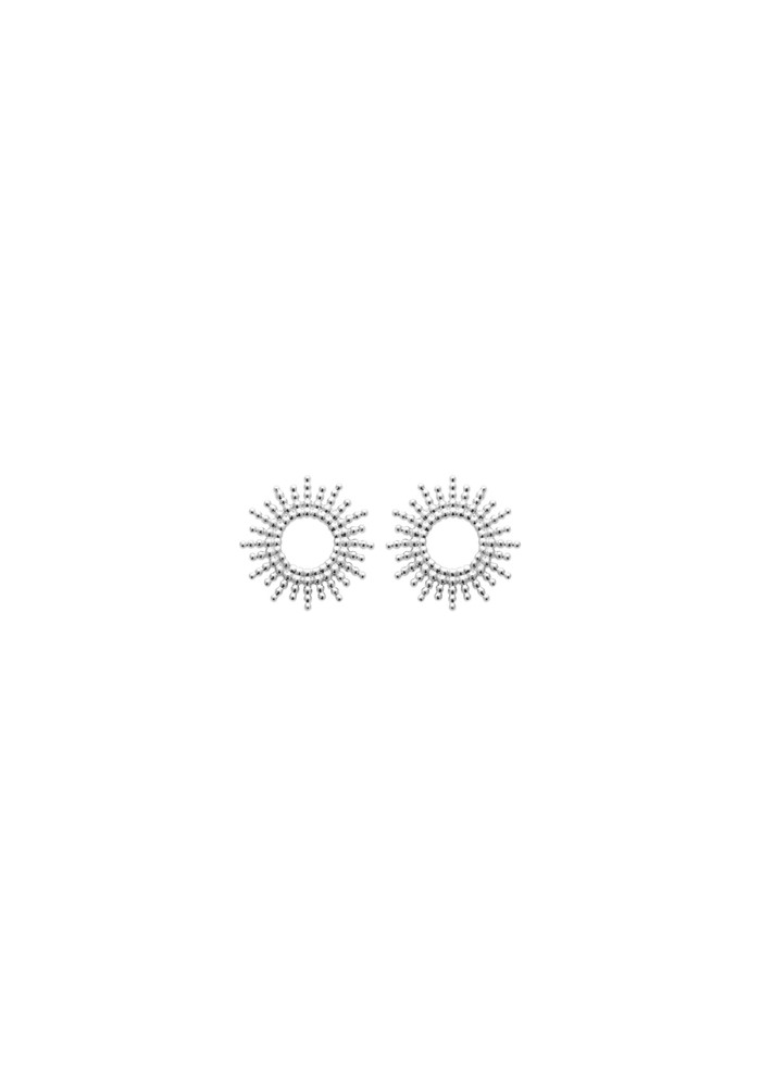 Puces d'oreilles GAIA - argent