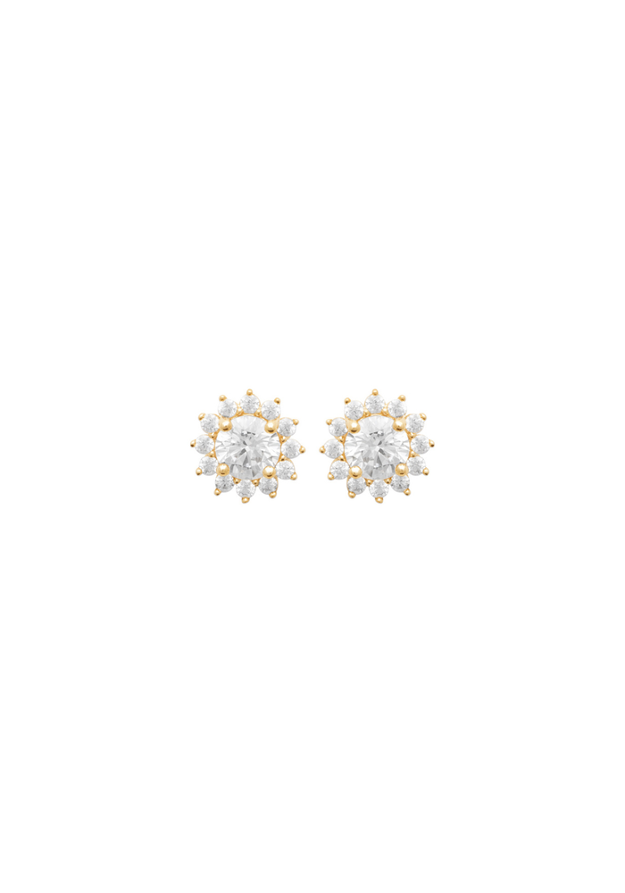 Puces d'oreilles OLIVIA