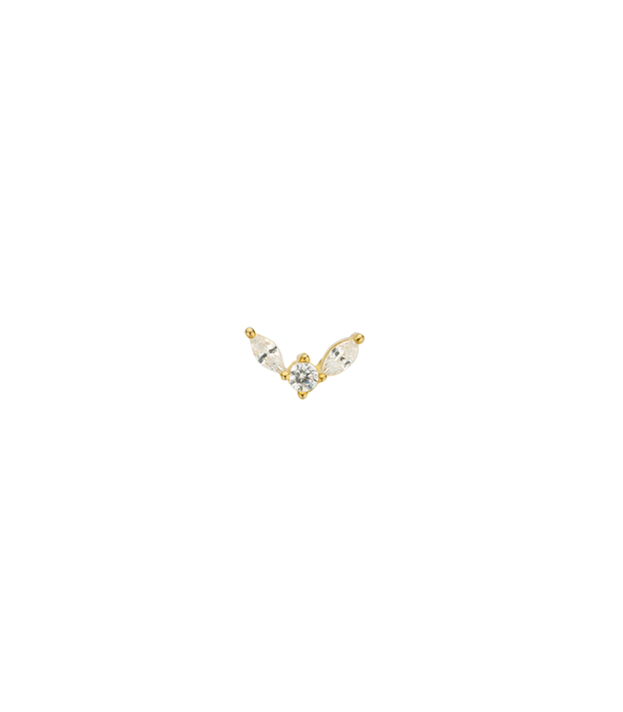 Puce d'oreille BIRD