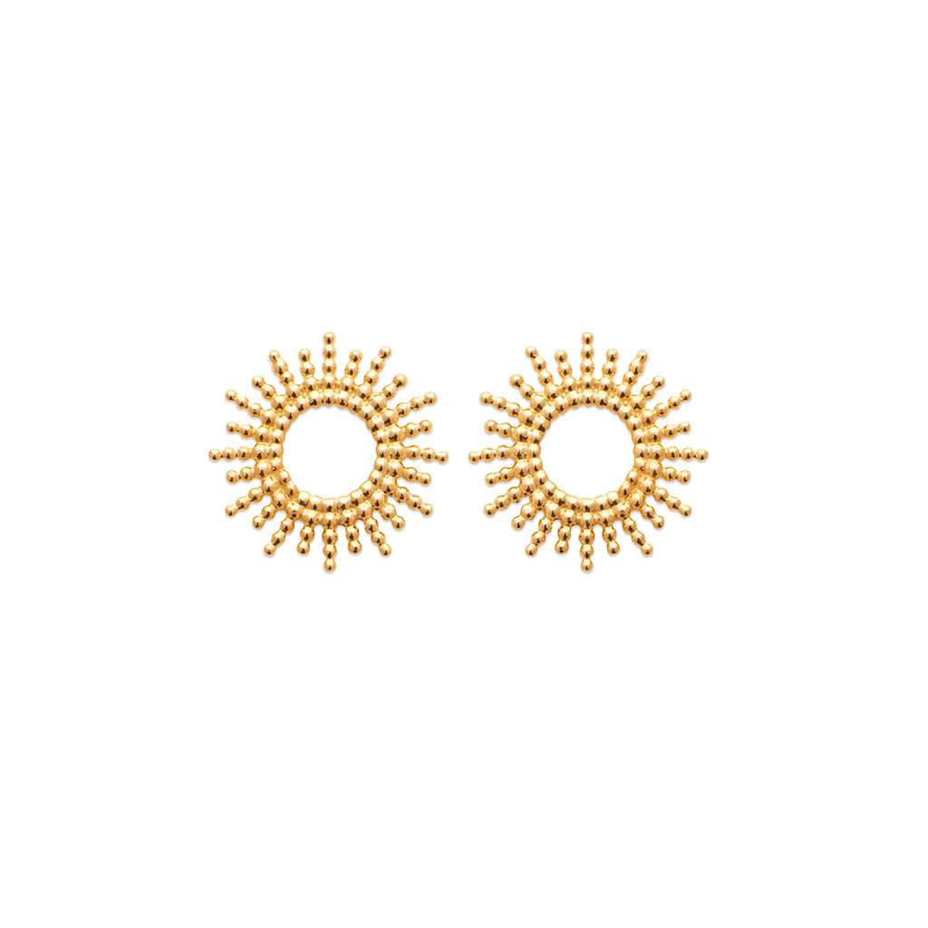 Puces d'oreilles GAIA