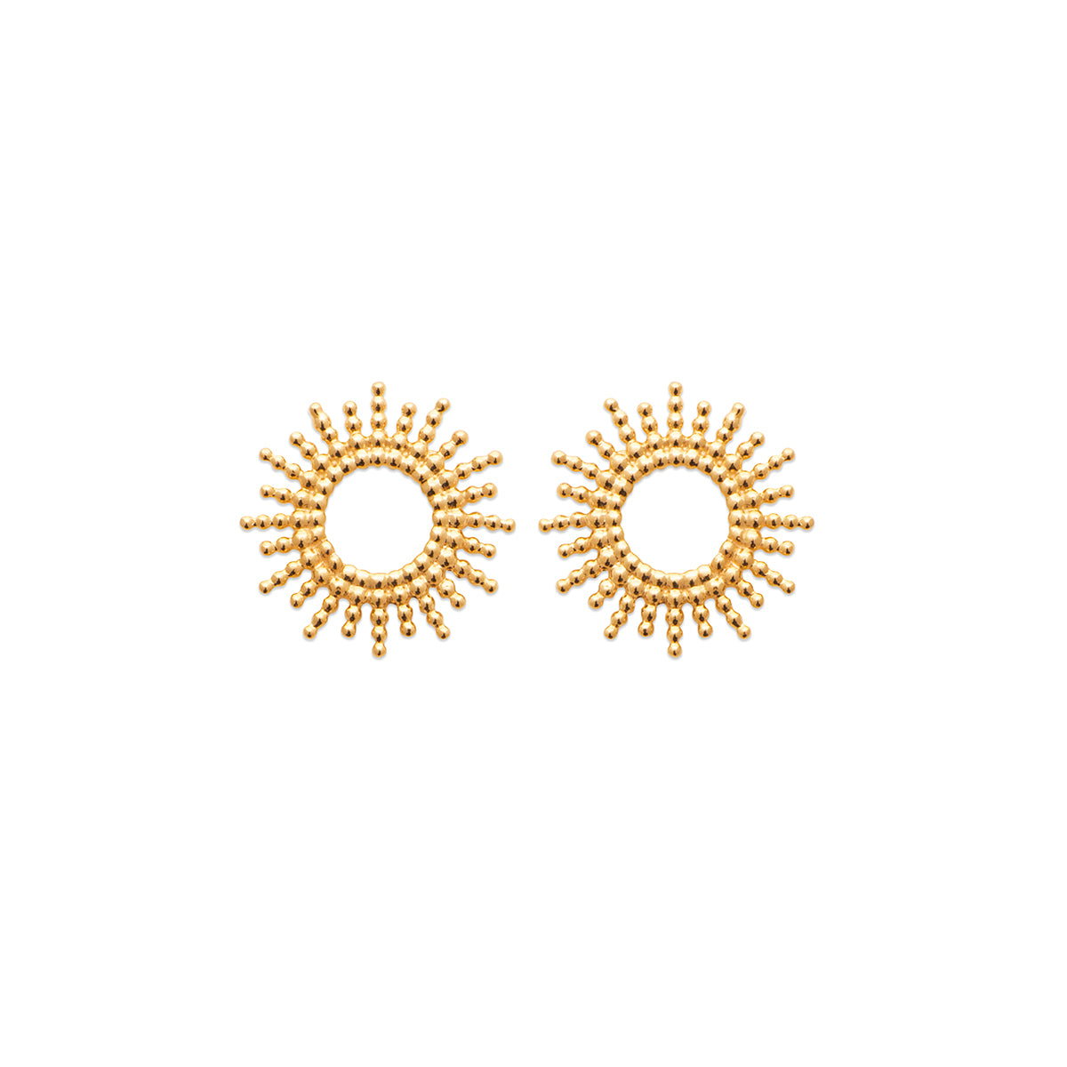 Puces d'oreilles GAIA