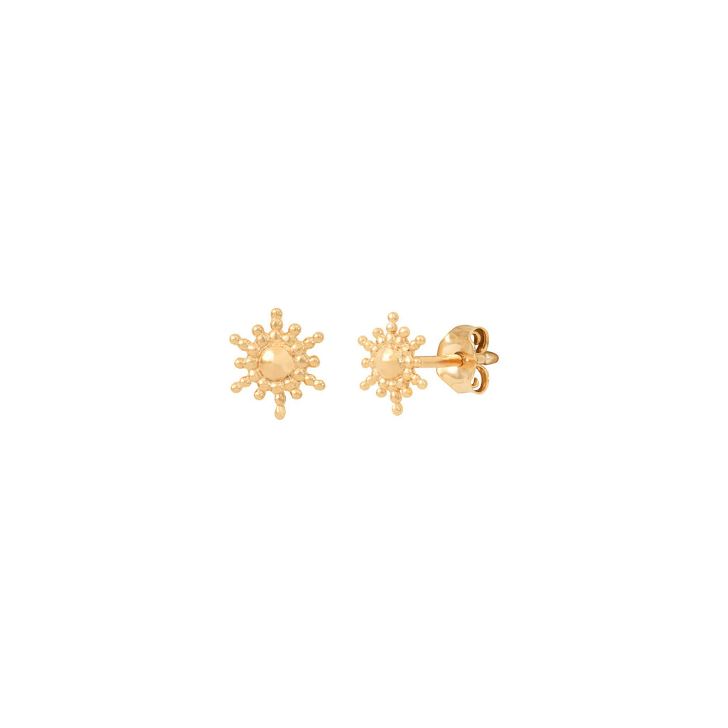 Puces d'oreilles TINA