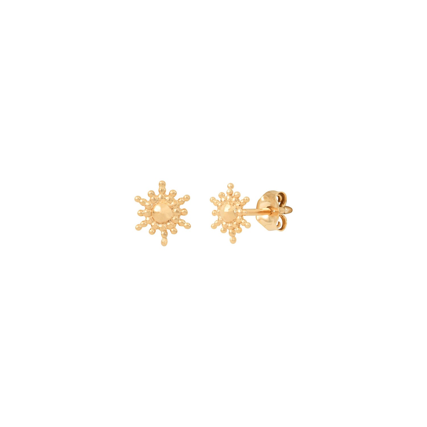 Puces d'oreilles TINA