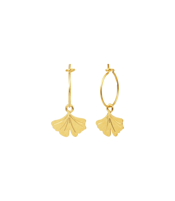 Mini-créoles GINGKO