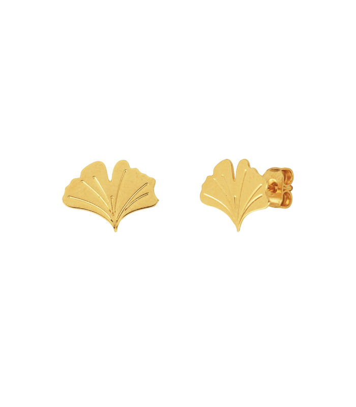 Puces GINGKO pm