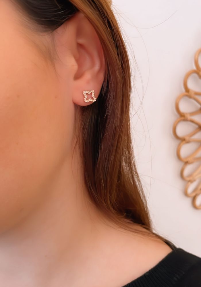 Puces d'oreilles RAMA