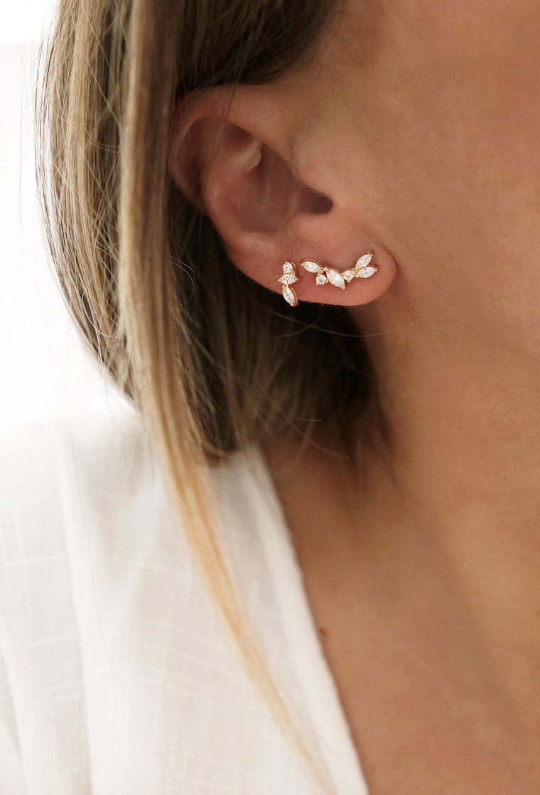 Puces d'oreilles ALIX