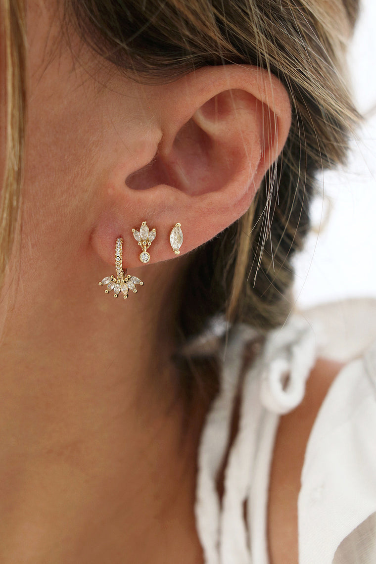 La belle compo AUTEUIL