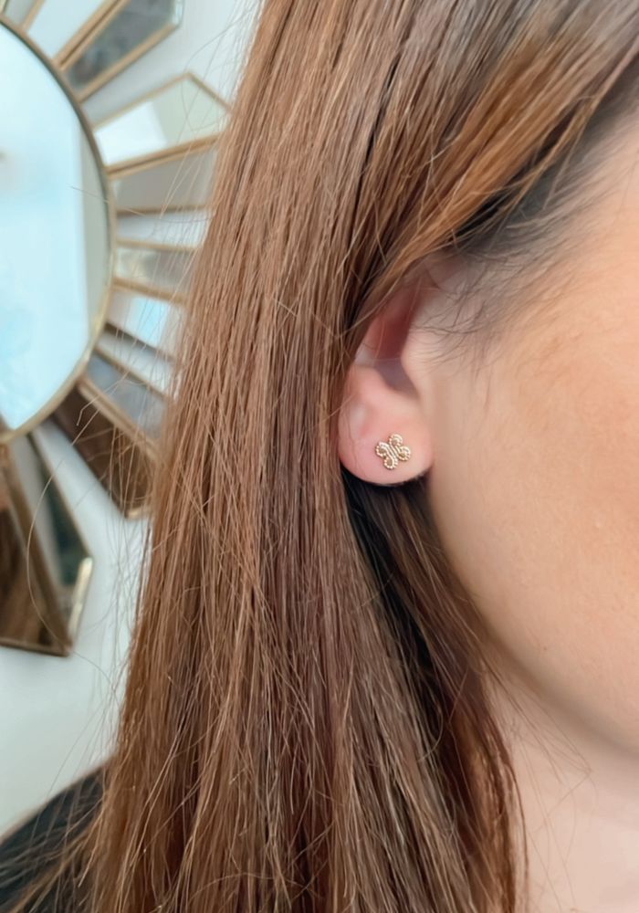 Puces d'oreilles UMA