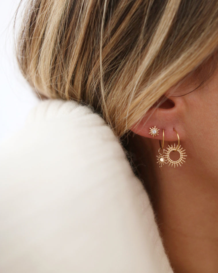 Puces d'oreilles ÉLISA