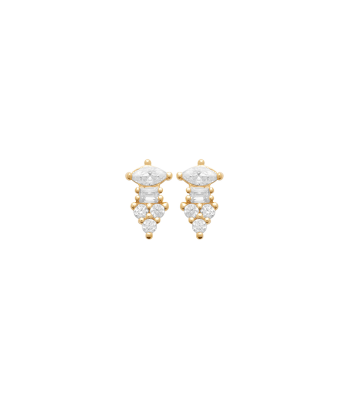 Puces d'oreilles ALICE